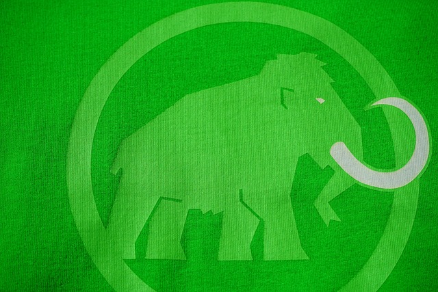 Zbliżenie na koszulkę z nadrukiem — wyraźne logo i grafika na zielonej tkaninie