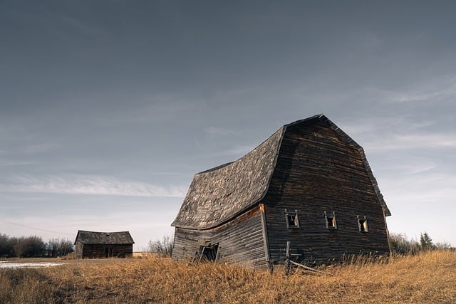 Stara drewniana stodoła — symbol rustykalnej estetyki farmowej inspirującej retro nadruki